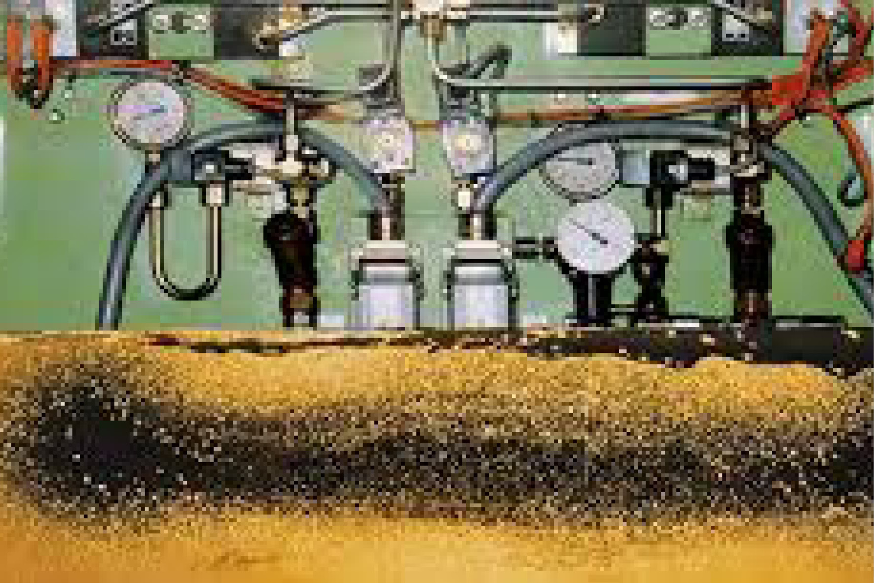 Sisebnza Images2 Sisebnza Images2